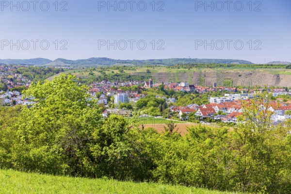 Viewpoint at Hörnle on Besigheim with vineyards on the Neckar, Baden-WÃ¼rttemberg, Germany