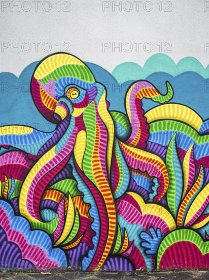 Octopus graffiti in Le Verdon-sur-Mer, Nouvelle-Aquitaine, Gironde, France