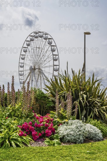 Royan, Nouvelle-Aquitaine, Charente-Maritime, France