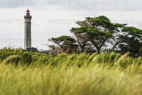 WHALE LIGHTHOUSE, Saint-Clement-des-Baleines, Atlantic, France