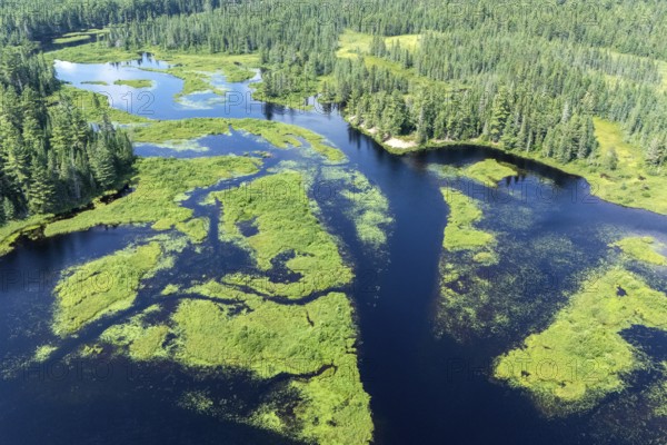 Lake and islands with vegetation, Boreal forest, Mastigouche wildlife reserve, Region of La Mauricie, Province of Quebec, Canada