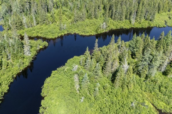 River du Loup, River flowing trough the boreal forest, Mastigouche wildlife reserve, Region of La Mauricie, Province of Quebec, Canada