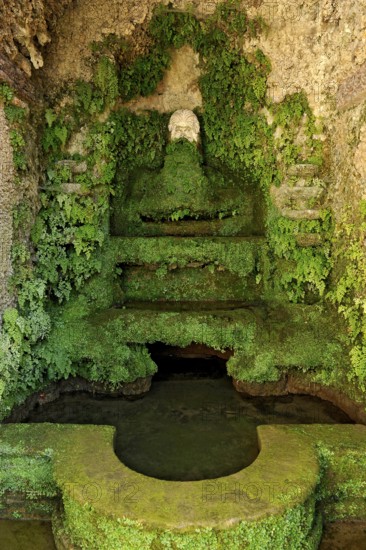 Fountain of the Nymphaeum, Renaissance garden of the Villa d'Este, water features, fountains, UNESCO World Heritage Site, Tivoli, metropolitan city of Rome, Lazio, Italy