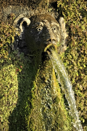 Gargoyles, Avenue of a Hundred Fountains, Viale delle Cento Fontane, Renaissance garden of the Villa d'Este, water features, fountains, UNESCO World Heritage Site, Tivoli, Metropolitan City of Rome, Lazio, Italy