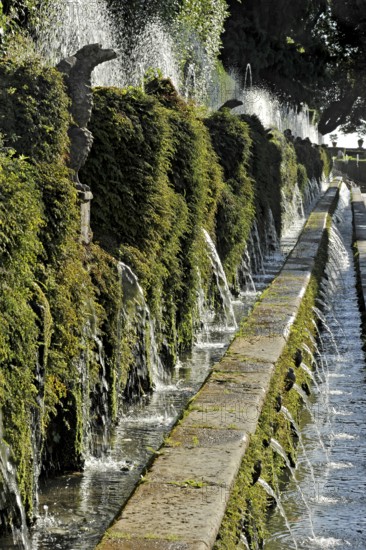 Avenue of a Hundred Fountains, Viale delle Cento Fontane, Renaissance garden of Villa d'Este, water features, fountains, UNESCO World Heritage Site, Tivoli, metropolitan city of Rome, Lazio, Italy