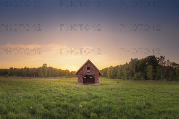 View of an open half-timbered barn standing on a pasture in the sunset, meadow, spring, awakening, new, colours, season, landscape photo, nature photo, flora, fauna, landscape format, pasture, grasses, lowland, sky, clouds, Stöckse, Steimbke, Nienburg Weser, Lower Saxony, Germany