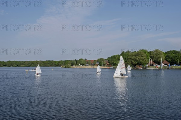 Drilandsee, DreilÃ¤ndersee, Gronau, MÃ¼nsterland, North Rhine-Westphalia, Germany