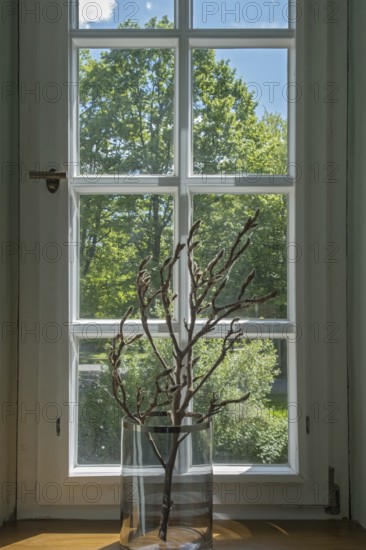 A window with a glass jar full of branches and a view of green trees, MÃ¼nsterland, North Rhine-Westphalia, Germany