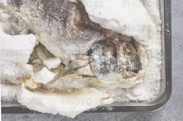 Baked Dorado fish, in salt on a baking sheet, top view, homemade, no people