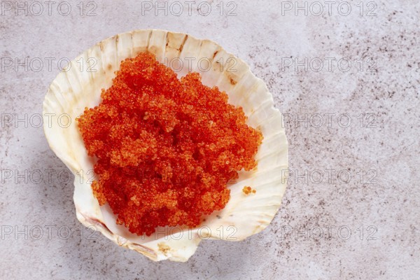 Orange flying fish roe, Tobiko roe, in a seashell, top view
