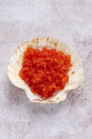 Orange flying fish roe, Tobiko roe, in a seashell, top view