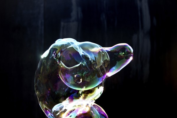 A shimmering and floating soap bubble in the colours of the rainbow against a black background, Recklinghausen, Germany