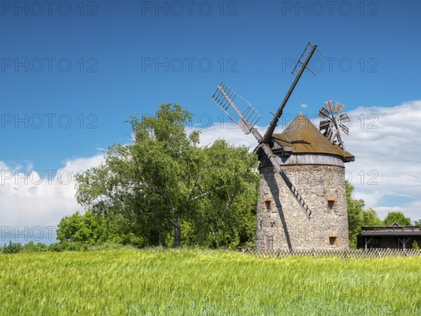 Old windmill behind a fence in a green field in spring, tower windmill, Endorf, Saxony-Anhalt, Germany