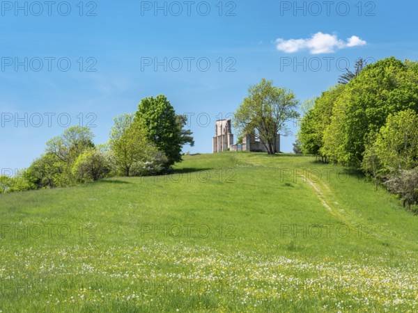 The ruins of St Catherine's Chapel, also known as Kappl, a pilgrimage church in a flowering meadow on the Kappelbuck mountain, Hechingen am See, Markt Heidenheim, Middle Franconia, Bavaria, Germany