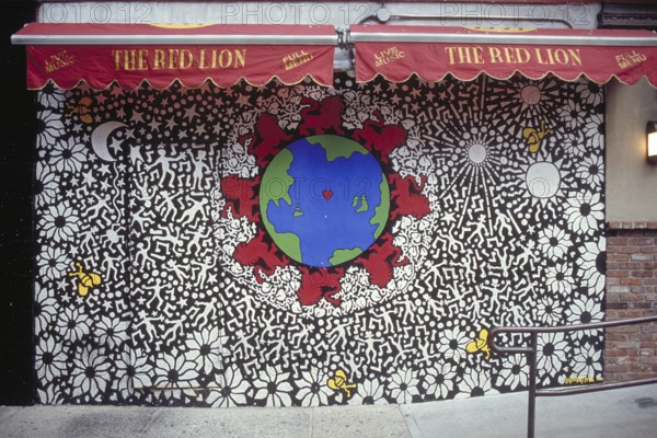 Window of an empty shop, artistically designed, New Yor City, USA