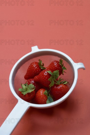 Strawberries in a colander on a red background, Fragaria