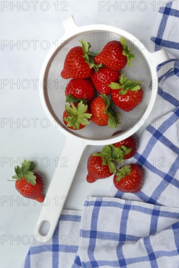 Strawberries in colander, Fragaria
