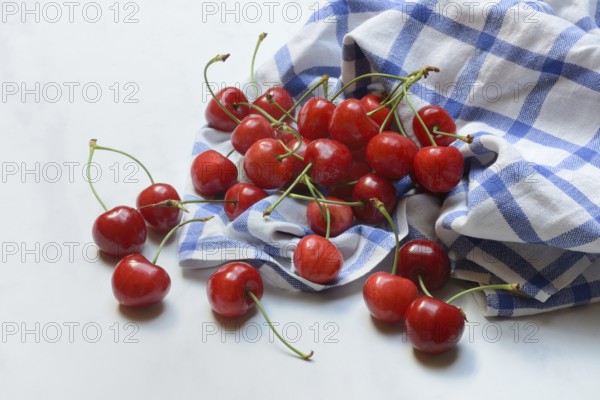 Sweet cherries with cloth, Prunus avium