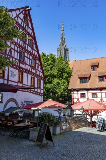 Restaurant with beer garden in a half-timbered house, behind the tower of Ulm Minster, Ulm, Baden-WÃ¼rttemberg, Germany