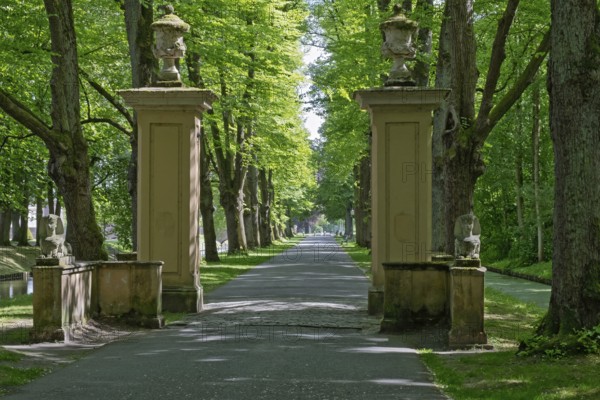 Long avenue with tall columns and statues, lined with lush green trees, in the sunlight, entrance to Nordkirchen Castle Park, MÃ¼nsterland, North Rhine-Westphalia, Germany