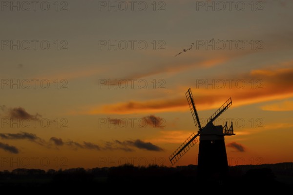 Windmill silhouette at sunset with a red sky and a skein or flock of Pink-footed geese (Anser brachyrhynchus) birds flying above, Burnham Ovary Staithe, Norfolk, England, United Kingdom