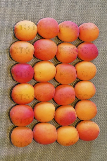 Fresh apricots (Prunus armeniaca) for sale at a fruit and vegetable market, Frauenkirchen, Burgenland, Austria