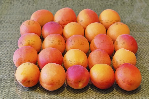 Fresh apricots (Prunus armeniaca) for sale at a fruit and vegetable market, Frauenkirchen, Burgenland, Austria