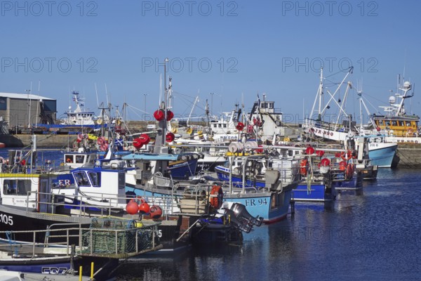 Various fishing boats moored in the harbour, complemented by colourful buoys, Fraserburgh Aberdeenshire, Scotland, Great Britain