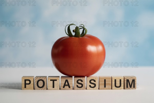 Red tomato with wooden blocks spelling Potassium. Clean studio composition highlighting natural nutrition and freshness, Generative ai, AI generated