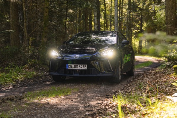 Black car with switched on headlights on a forest path, surrounded by trees, MG 4, Deer E- Car Sharing, district of Calw, Germany