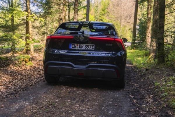 Black car on a forest path surrounded by trees that cast sunlight and shadows, MG 4, Deer E- Car Sharing, district of Calw, Germany