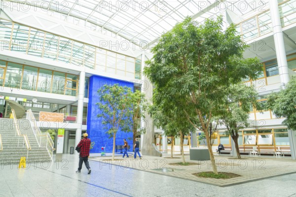 Modern shopping centre with large glass roof, in the centre are several trees surrounded by an open space, Hospital Stuttgart, Germany
