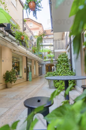 Green planted courtyard with tables and chairs, inviting and modern, Merano, South Tyrol, Italy