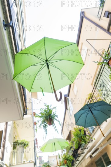 Colourful umbrellas and plants decorate a narrow alley, Merano, South Tyrol, Italy