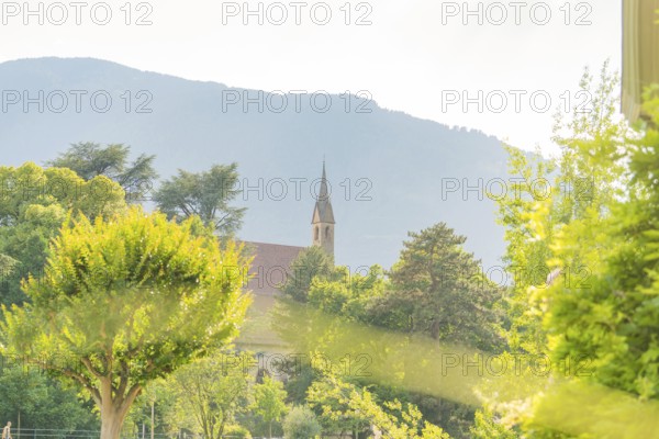 Church tower rises between trees in front of a mountain panorama under a clear sky, Merano, South Tyrol, Italy