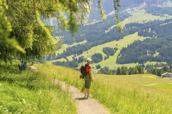 Hikers on a path with a wide view over green fields and mountain landscape, Alpe di Siusi, Dolomites, South Tyrol, Italy