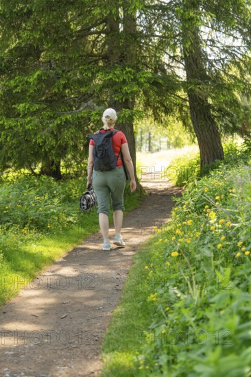 Woman walking on a flowery forest path in the sunlight, Alpe di Siusi, Dolomites, South Tyrol, Italy