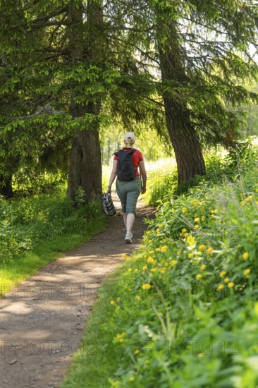 Woman walking on a sunny forest path, surrounded by flowers, Alpe di Siusi, Dolomites, South Tyrol, Italy