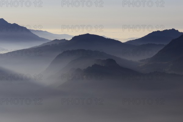 Mountain silhouettes... Alpine peaks and mountain ranges in the Bavarian Alps, light fog rises from the valleys, which creates an idyllic atmosphere in the light of the low sun, romantic view from Oberstdorf towards Kleinwalsertal, local nature, Bavaria, AllgÃ¤u, AllgÃ¤u Alps, Bavarian, Germany, Western Europe