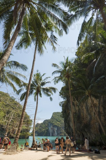 Crowd, Koh Lao Lading, Koh Hong, Thanbok Khoranee National Park, Krabi, Andaman Sea, Thailand