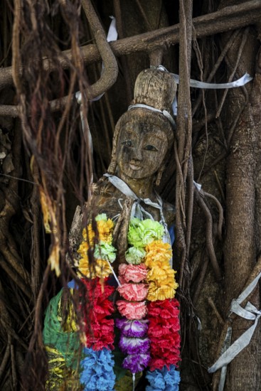 Bodhi tree, Ficus religiosa, wooden figure, Koh Phi Phi, Krabi, Andaman Sea, Thailand