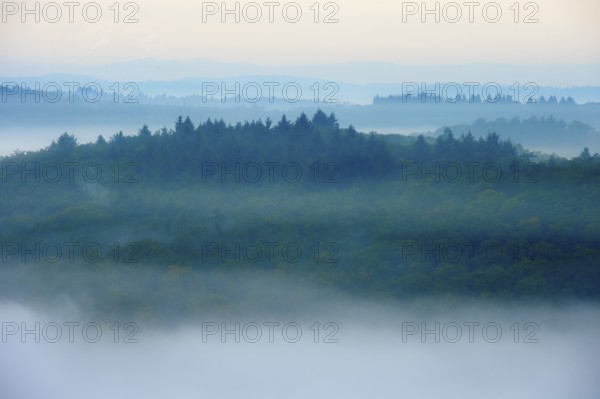 Early morning fog over forested hills in low mountain range, Germany