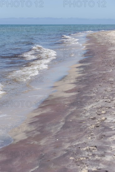 The beach with gentle waves meets the clear blue sea under a wide sky, Prerow, Mecklenburg-Vorpommern, Germany