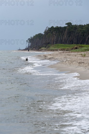 West beach with windbreaks, Prerow, Mecklenburg-Western Pomerania, Germany