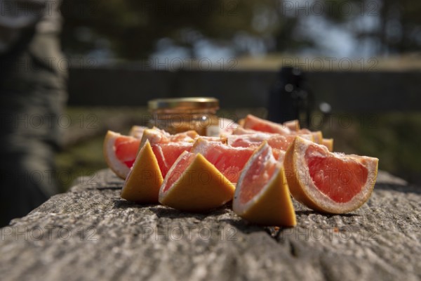 Sliced grapefruits on a wooden table in the sun with a blurred background, Prerow, Mecklenburg-Vorpommern, Germany