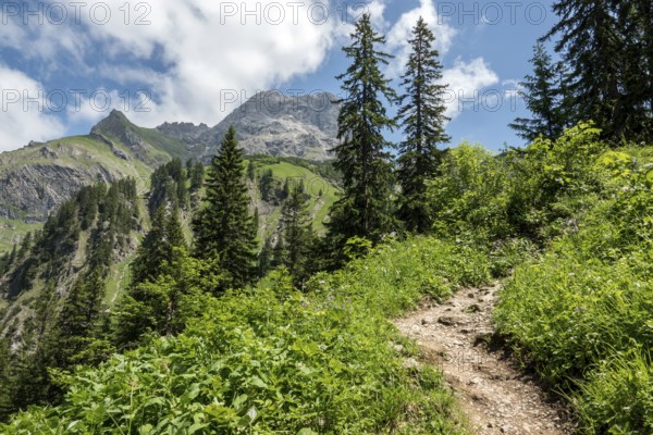 Hiking trail to the Hochalp Pass, BÃ¤rgunttal, behind Kleiner and GroÃŸer Widderstein, near Baad, Kleinwalsertal, AllgÃ¤u Alps, Vorarlberg, Austria