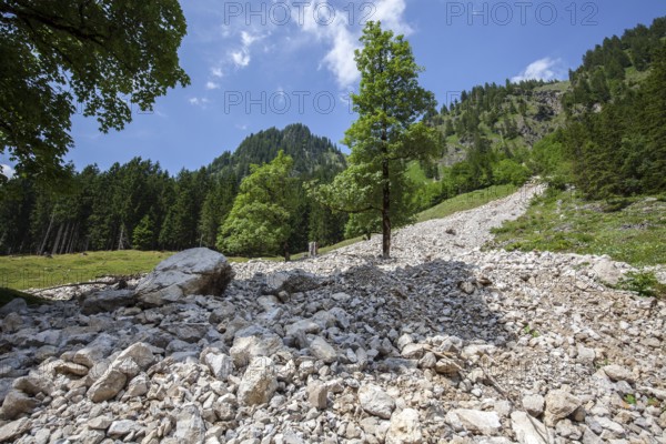 Landslide, Dietersbachtal, near Gerstruben, AllgÃ¤u Alps, OberallgÃ¤u, AllgÃ¤u, Bavaria, Germany