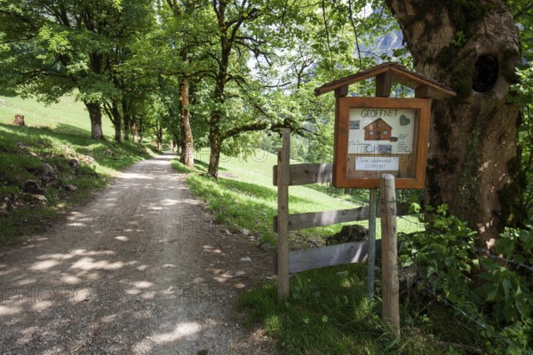 Path with tree-lined avenue and signpost to the Ditersbachalpe, near the historic farming village of Gerstruben, Dietersbachtal, near Oberstdorf, AllgÃ¤u Alps, OberallgÃ¤u, AllgÃ¤u, Bavaria, Germany