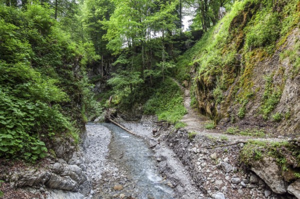 Dietersbach am Rautweg, near Gerstruben, Dietersbachtal, near Oberstdorf, AllgÃ¤u Alps, OberallgÃ¤u, AllgÃ¤u, Bavaria, Germany