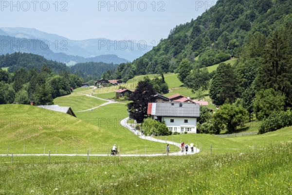 Dietersberg, Trettachtal, near Oberstdorf, OberallgÃ¤u, AllgÃ¤u, Bavaria, Germany
